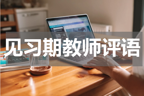 见习期教师评语