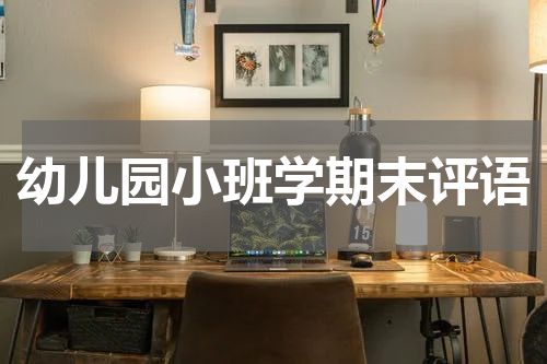 幼儿园小班学期末评语
