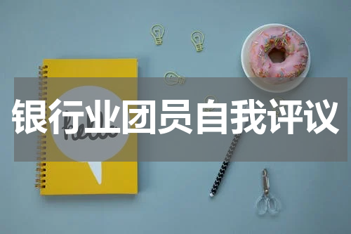 银行业团员自我评议