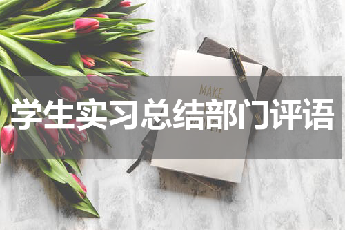 学生实习总结部门评语