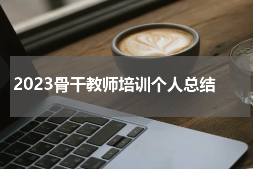 2023骨干教师培训个人总结