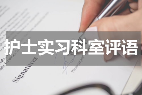 护士实习科室评语