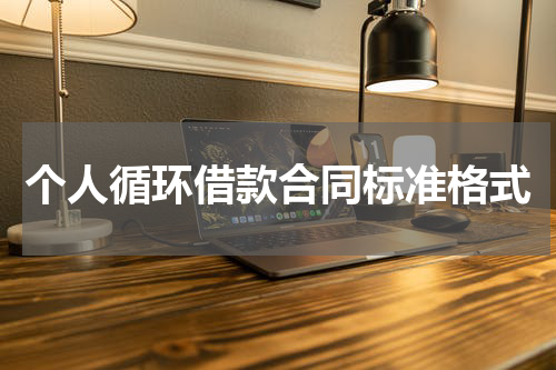 个人循环借款合同标准格式