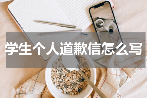 学生个人道歉信怎么写