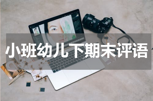 小班幼儿下期末评语