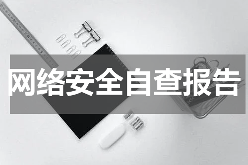 网络安全自查报告