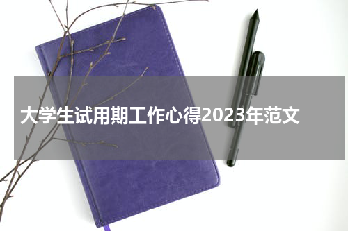 大学生试用期工作心得2023年范文