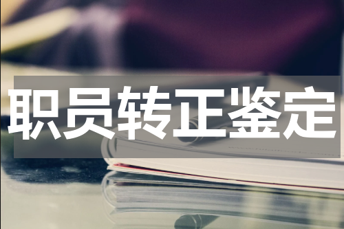 职员转正鉴定