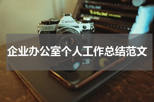 企业办公室个人工作总结范文