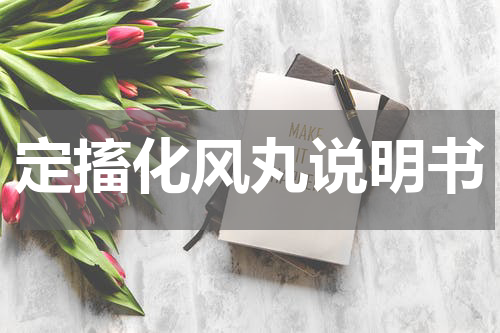 定搐化风丸说明书