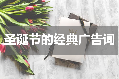 圣诞节的经典广告词