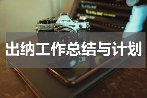 出纳工作总结与计划