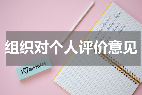 组织对个人评价意见
