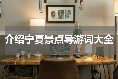 介绍宁夏景点导游词大全