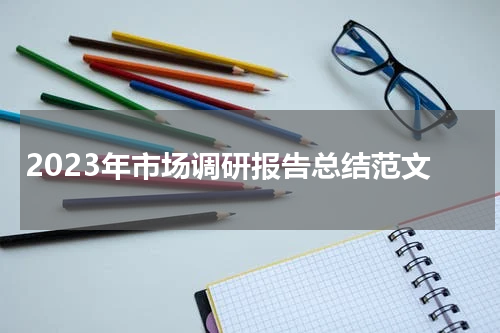 2023年市场调研报告总结范文