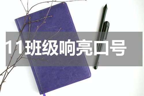 11班级响亮口号