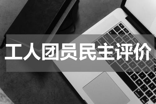 工人团员民主评价