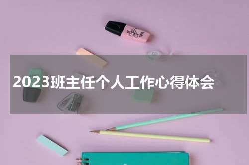 2023班主任个人工作心得体会