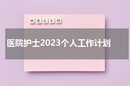 医院护士2023个人工作计划