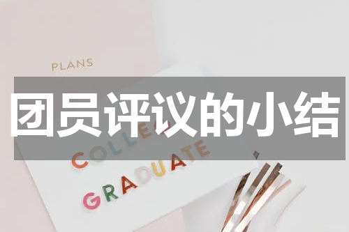 团员评议的小结
