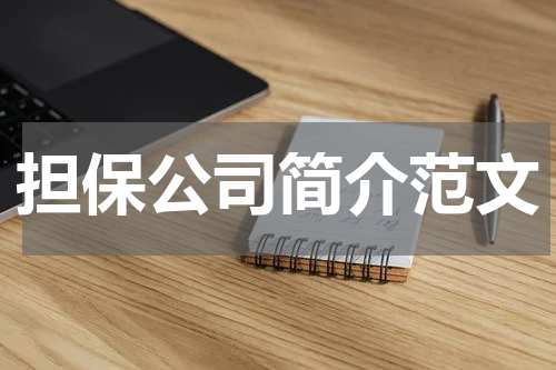 担保公司简介范文