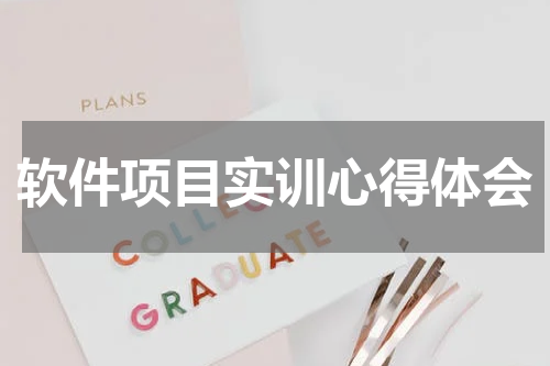 软件项目实训心得体会
