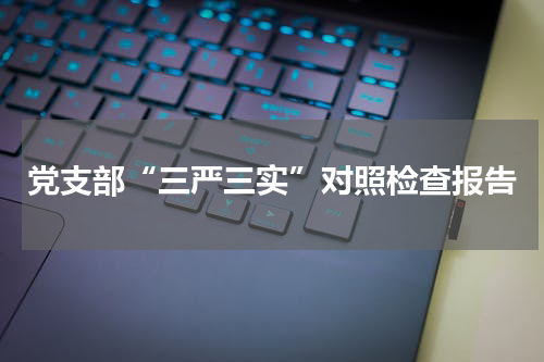 党支部“三严三实”对照检查报告