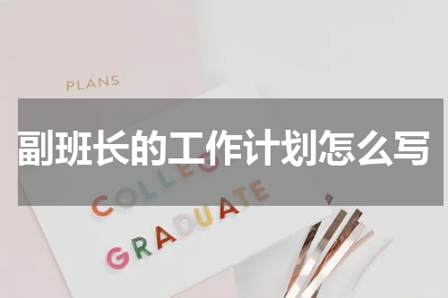 副班长的工作计划怎么写