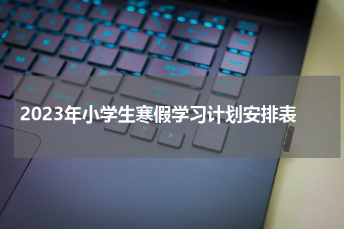 2023年小学生寒假学习计划安排表