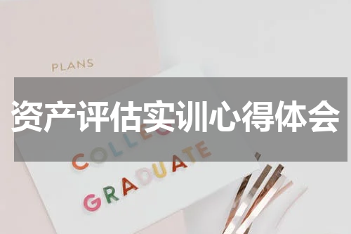 资产评估实训心得体会