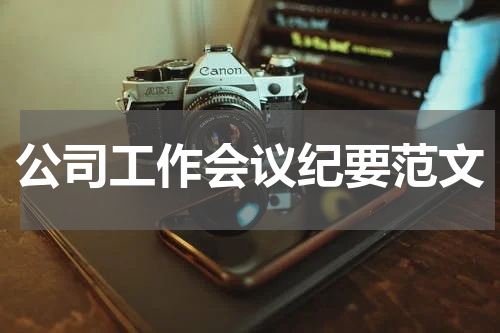 公司工作会议纪要范文