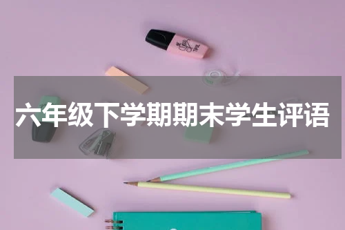 六年级下学期期末学生评语