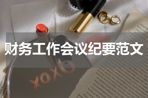 财务工作会议纪要范文
