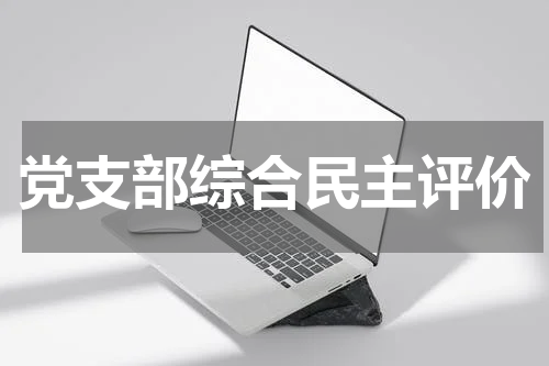 党支部综合民主评价