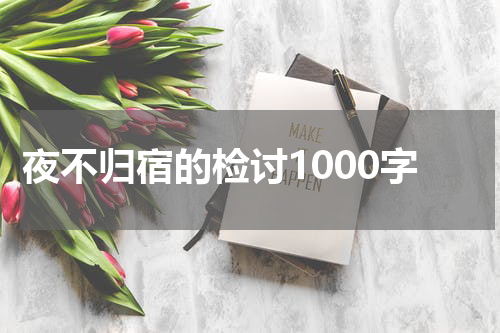 夜不归宿的检讨1000字