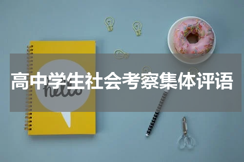 高中学生社会考察集体评语