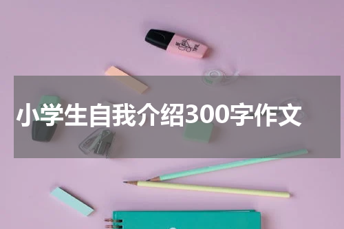 小学生自我介绍300字作文