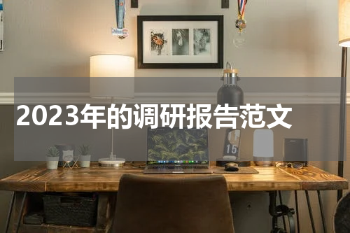 2023年的调研报告范文