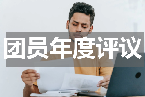 团员年度评议