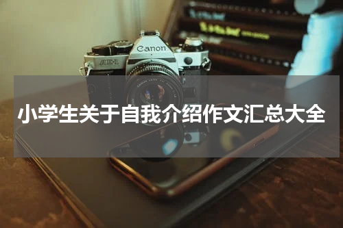 小学生关于自我介绍作文汇总大全