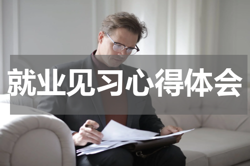 就业见习心得体会
