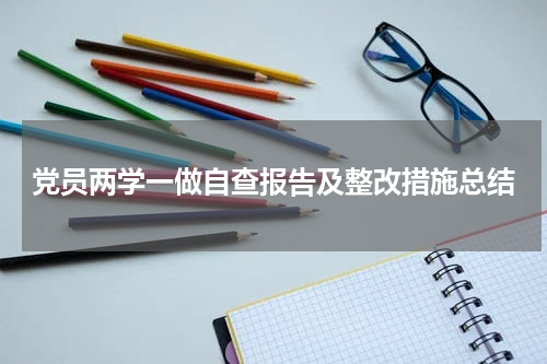 党员两学一做自查报告及整改措施总结