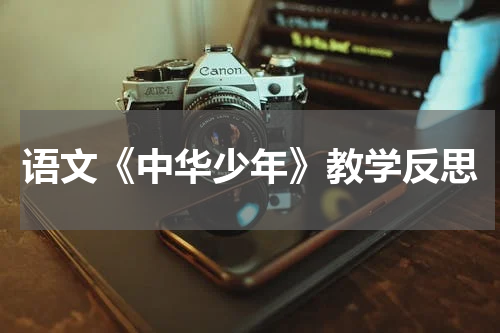 语文《中华少年》教学反思