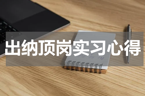 出纳顶岗实习心得