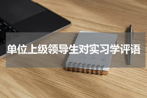单位上级领导生对实习学评语