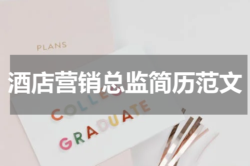 酒店营销总监简历范文