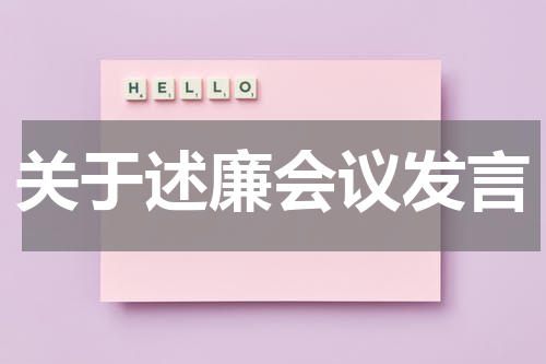 关于述廉会议发言