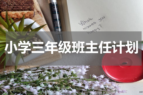 小学三年级班主任计划