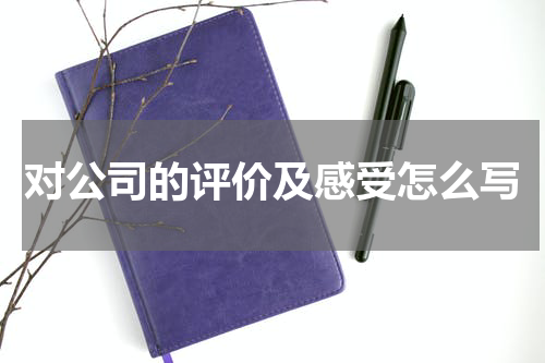 对公司的评价及感受怎么写