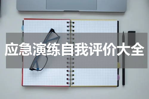 应急演练自我评价大全